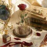 ヒメ日記 2025/06/18 07:05 投稿 ゆりん 素人妻御奉仕倶楽部Hip's取手店