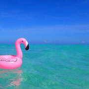 ヒメ日記 2025/06/27 13:05 投稿 ゆりん 素人妻御奉仕倶楽部Hip's取手店