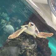 ヒメ日記 2025/09/03 09:31 投稿 ゆりん 素人妻御奉仕倶楽部Hip's取手店