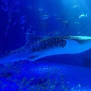 ヒメ日記 2025/10/17 18:21 投稿 ゆりん 素人妻御奉仕倶楽部Hip's取手店