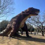 ヒメ日記 2026/01/29 07:31 投稿 ゆりん 素人妻御奉仕倶楽部Hip's取手店