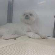 ヒメ日記 2025/09/27 14:50 投稿 るのん マリアージュ熊谷