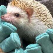 ヒメ日記 2026/04/04 16:10 投稿 るのん マリアージュ熊谷