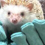 ヒメ日記 2026/04/24 16:20 投稿 るのん マリアージュ熊谷