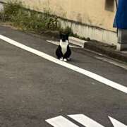 ヒメ日記 2025/10/27 20:02 投稿 すみれ 池袋モンデミーテ（シンデレラグループ）