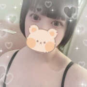 ヒメ日記 2025/02/28 11:48 投稿 ぺこ ぺろぺろベロベロ専科 ぺろんちょ