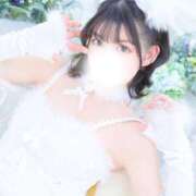 ヒメ日記 2025/04/04 22:29 投稿 あんな Versailles