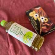 ヒメ日記 2025/07/15 10:04 投稿 レン【献身的なサービス】 ドMなバニーちゃん和歌山店