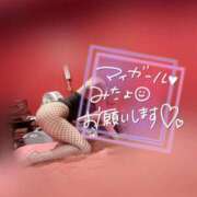 ヒメ日記 2026/07/24 11:04 投稿 レン【献身的なサービス】 ドMなバニーちゃん和歌山店