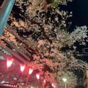 ヒメ日記 2025/04/08 09:01 投稿 レイア【♥清楚なド変態バニー♥】 ドＭなバニーちゃん小倉店