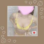 ヒメ日記 2026/05/07 08:46 投稿 レイア【♥清楚なド変態バニー♥】 ドＭなバニーちゃん小倉店
