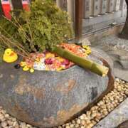 ヒメ日記 2025/04/19 11:00 投稿 結蘭（ゆらん） 倶楽部 藤