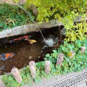 ヒメ日記 2025/09/03 09:00 投稿 結蘭（ゆらん） 倶楽部 藤