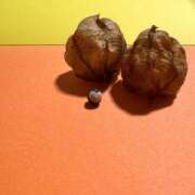 ヒメ日記 2025/09/16 21:00 投稿 結蘭（ゆらん） 倶楽部 藤