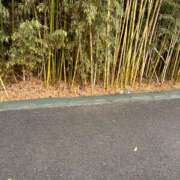 ヒメ日記 2025/12/22 11:30 投稿 結蘭（ゆらん） 倶楽部 藤