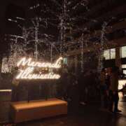 ヒメ日記 2025/12/26 11:30 投稿 結蘭（ゆらん） 倶楽部 藤