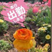 ヒメ日記 2025/03/31 14:26 投稿 あおい One More 奥様　西船橋店