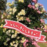 ヒメ日記 2025/05/21 14:11 投稿 あおい One More 奥様　西船橋店