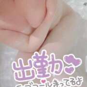 ヒメ日記 2025/06/05 14:26 投稿 あおい One More 奥様　西船橋店