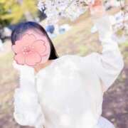 ヒメ日記 2025/03/29 10:19 投稿 かりん 奥様鉄道69 仙台店