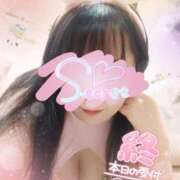 ヒメ日記 2025/04/04 01:27 投稿 みさと 快楽夫人