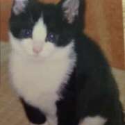 ヒメ日記 2025/02/22 20:21 投稿 しず 熟女の風俗最終章 高崎店