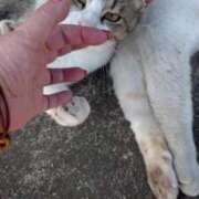 ヒメ日記 2025/05/08 18:38 投稿 しず 熟女の風俗最終章 高崎店