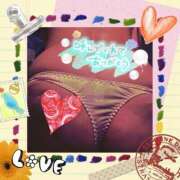 ヒメ日記 2025/07/31 03:08 投稿 しず 熟女の風俗最終章 高崎店