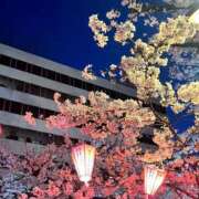 ヒメ日記 2025/03/31 19:18 投稿 なお 俺のKissリフレ