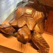 ヒメ日記 2025/05/15 20:38 投稿 なお 俺のKissリフレ