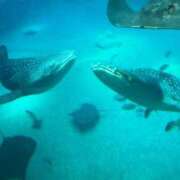 ヒメ日記 2026/03/02 12:01 投稿 のどか 虹色メロンパイ 横浜店