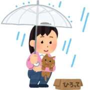 ヒメ日記 2025/04/10 22:34 投稿 りな★容姿端麗色気ある妖艶美女 Bell～S級美女お姉様・人妻デリヘル～