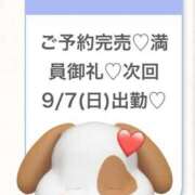 ヒメ日記 2025/09/07 06:06 投稿 りな★容姿端麗色気ある妖艶美女 Bell～S級美女お姉様・人妻デリヘル～