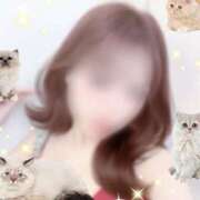 ヒメ日記 2026/02/22 19:36 投稿 りな★容姿端麗色気ある妖艶美女 Bell～S級美女お姉様・人妻デリヘル～