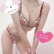 ヒメ日記 2026/04/21 23:08 投稿 りな★容姿端麗色気ある妖艶美女 Bell～S級美女お姉様・人妻デリヘル～