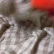 ヒメ日記 2025/04/19 21:12 投稿 雫(しずく) チューリップ宇都宮店