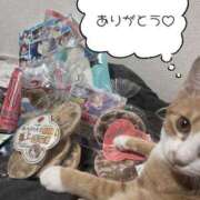 ヒメ日記 2025/04/30 12:09 投稿 雫(しずく) チューリップ宇都宮店