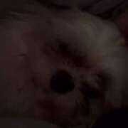 ヒメ日記 2025/05/16 15:19 投稿 雫(しずく) チューリップ宇都宮店