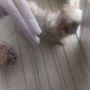 ヒメ日記 2025/05/21 15:09 投稿 雫(しずく) チューリップ宇都宮店