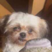 ヒメ日記 2025/05/28 15:19 投稿 雫(しずく) チューリップ宇都宮店