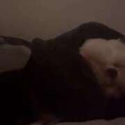 ヒメ日記 2025/06/17 18:29 投稿 雫(しずく) チューリップ宇都宮店