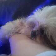 ヒメ日記 2025/07/02 23:59 投稿 雫(しずく) チューリップ宇都宮店