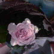 ヒメ日記 2025/09/02 19:49 投稿 雫(しずく) チューリップ宇都宮店