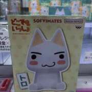 ヒメ日記 2025/09/17 15:09 投稿 雫(しずく) チューリップ宇都宮店