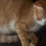 ヒメ日記 2025/09/18 22:39 投稿 雫(しずく) チューリップ宇都宮店