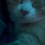 ヒメ日記 2025/09/20 18:19 投稿 雫(しずく) チューリップ宇都宮店