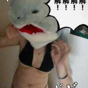 ヒメ日記 2025/09/27 15:09 投稿 雫(しずく) チューリップ宇都宮店