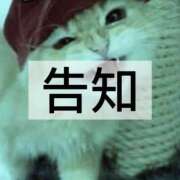 ヒメ日記 2025/10/10 21:19 投稿 雫(しずく) チューリップ宇都宮店