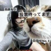 ヒメ日記 2025/10/15 21:19 投稿 雫(しずく) チューリップ宇都宮店