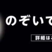 ヒメ日記 2025/10/17 12:19 投稿 雫(しずく) チューリップ宇都宮店